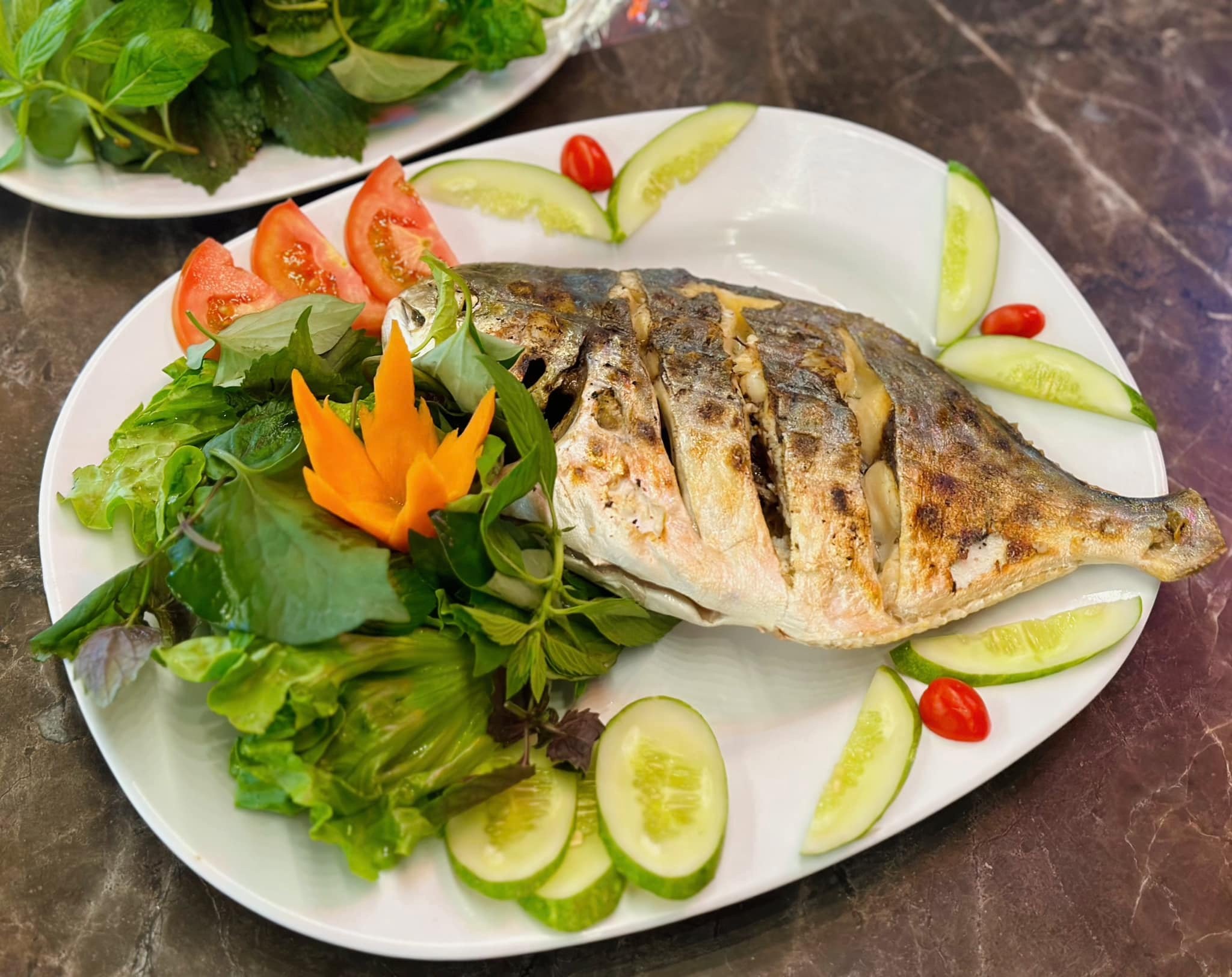 Cá Chim - Sống
