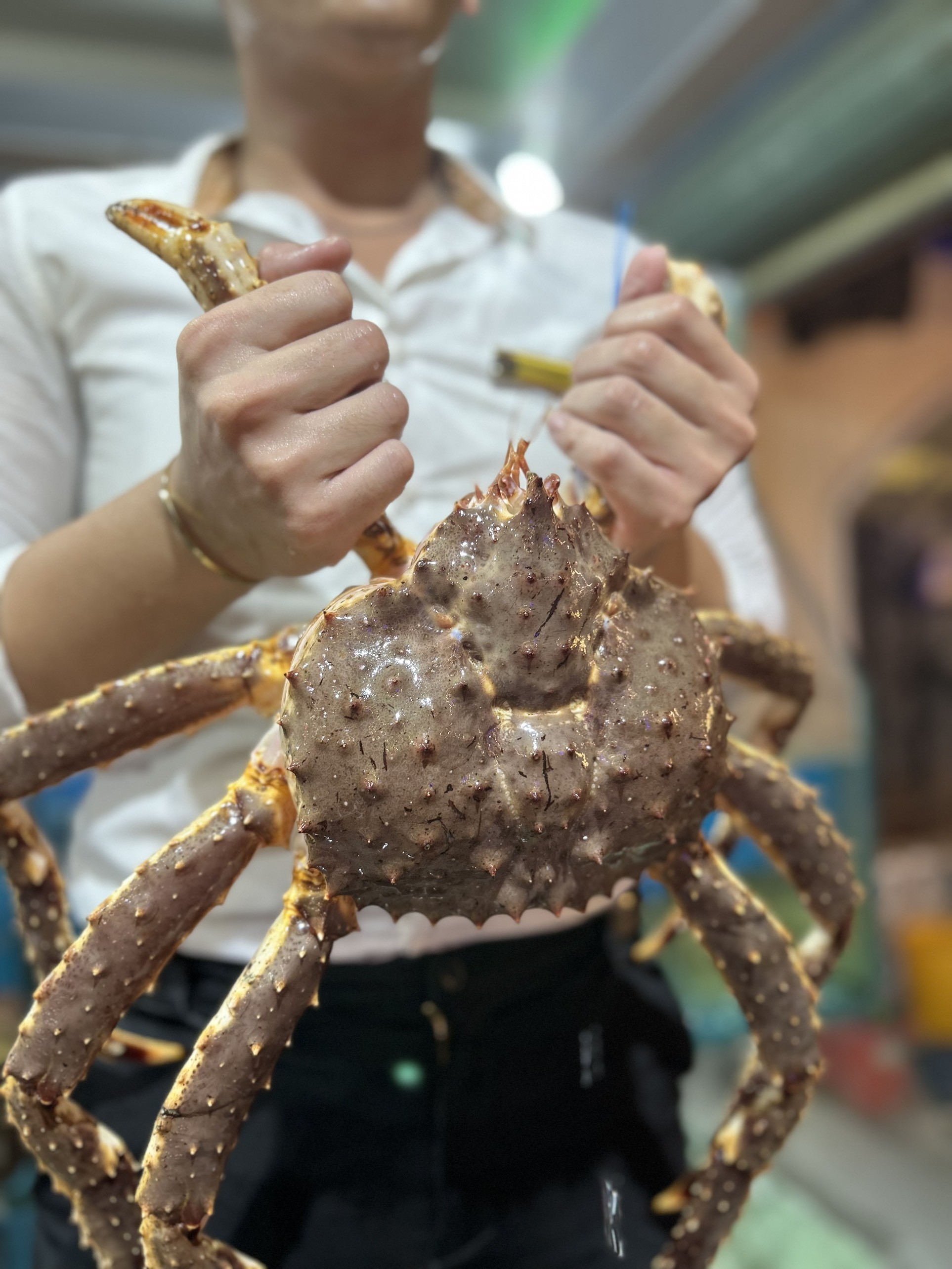 Cua Hoàng Đế (Kingcrab)