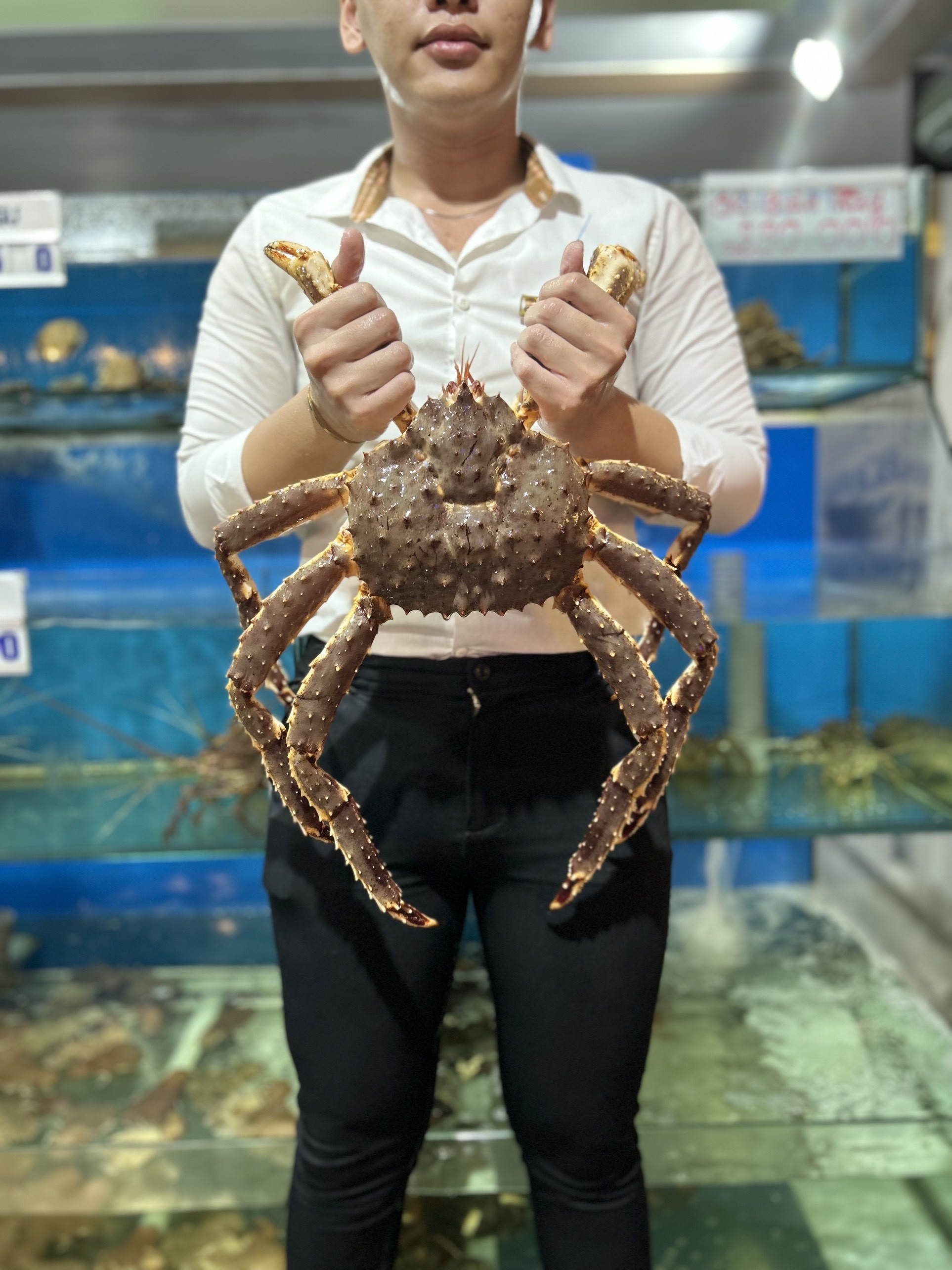 Cua Hoàng Đế (Kingcrab)